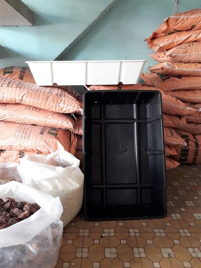 Khay nhựa trồng rau chữ nhật Việt Nam