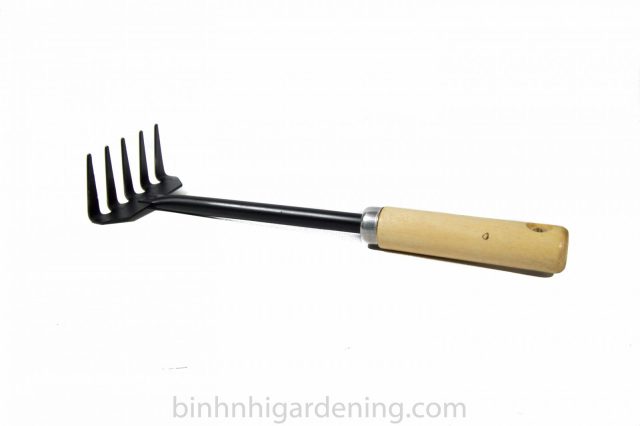 Phương pháp trồng rau mầm hiệu quả