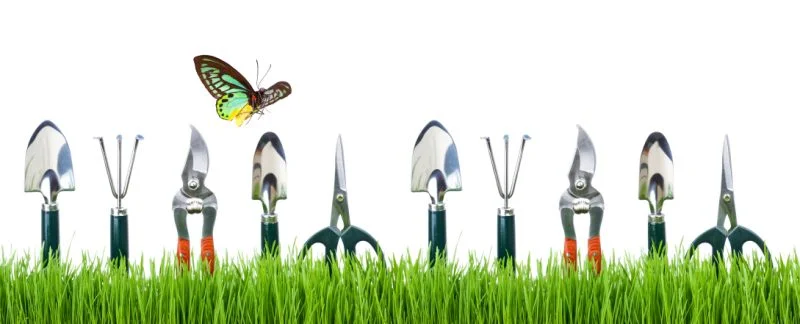 5 dụng cụ làm vườn không thể thiếu