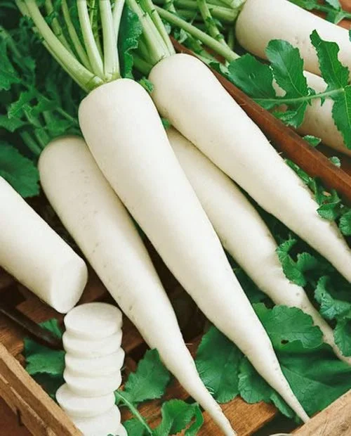 Hạt giống củ cải trắng F1 Long White Hương Nông
