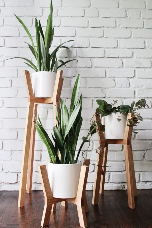 Dùng chậu cây và kệ đơn giản để trang trí những bức tường.