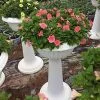 Chậu ly nhựa trắng cao chân đế trồng cây, thủy canh lớn