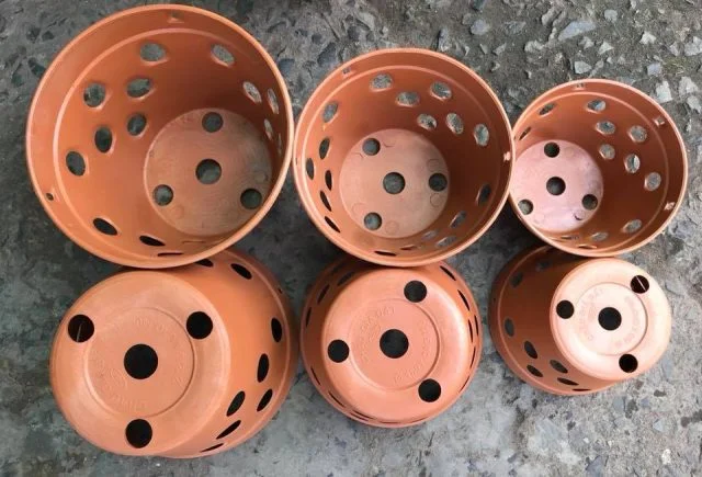 Chậu nhựa lan tròn giả đất nung nâu