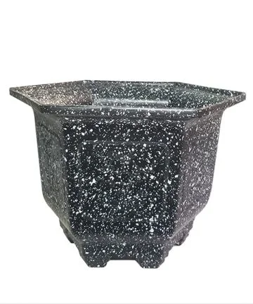 Chậu nhựa lục giác vân giả đá đen viền hoa văn