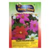 Hạt giống hoa sao nhái Cosmos Sensation Mixed Hương Nông