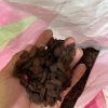Vỏ thông Orchiata nhập khẩu, có 5 size (3-6mm, 6-9mm, 9-12mm, 12-18mm, 18-25m) gói 1kg | z3235569083178 ad21efcf1c7721cb3aa662a6dc2078fc