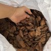 Vỏ thông NewZita Plus, gói 1kg (có 4 size: 6-9mm, 9-12mm, 12-18mm, 18-30mm) | z3235569099806 dc320b15889ff4a38ed1f037c03a007b