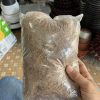Sợi dừa giá thể đã qua xử lý trồng lan trồng rau thủy canh | z3235631685991 582f5625acdd575de9abb814ac85bb2d