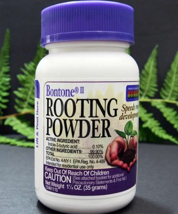 Bontone Rooting Powder | Siêu kích rễ USA 35g