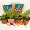 Đất sạch trồng Rau và Hoa Namix (Potting Mix) 20 dm3 ~ 10kg | namix3