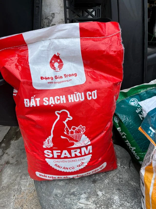 Đất sạch hữu cơ SFARM - chuyên trồng rau ăn Củ - Quả - Hình ảnh 3