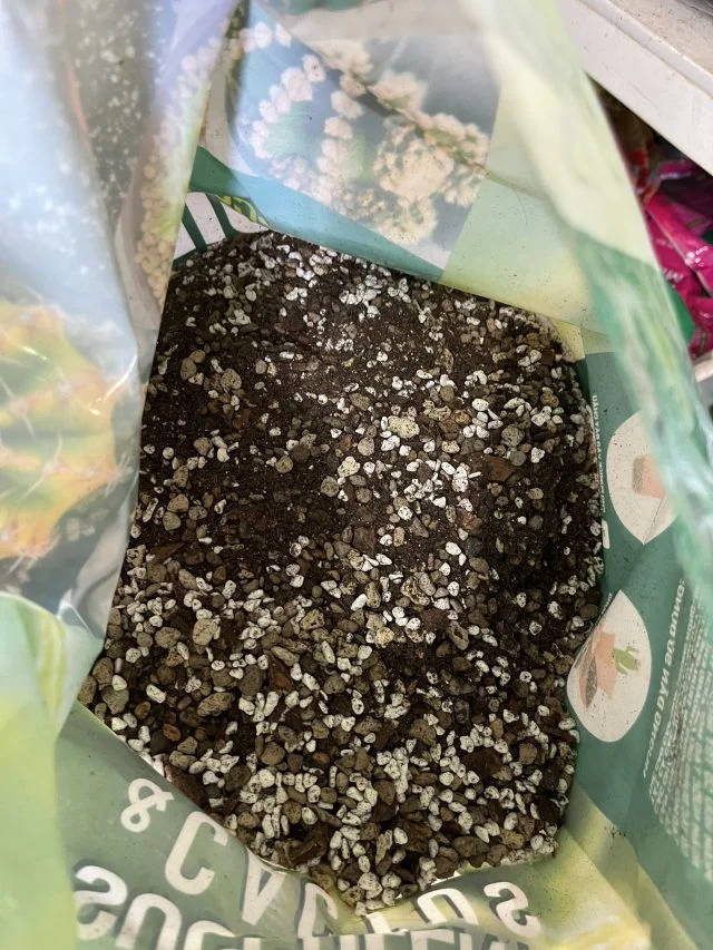 Đất trồng sen đá Soil Mix | bao 1kg - 6kg - Hình ảnh 4