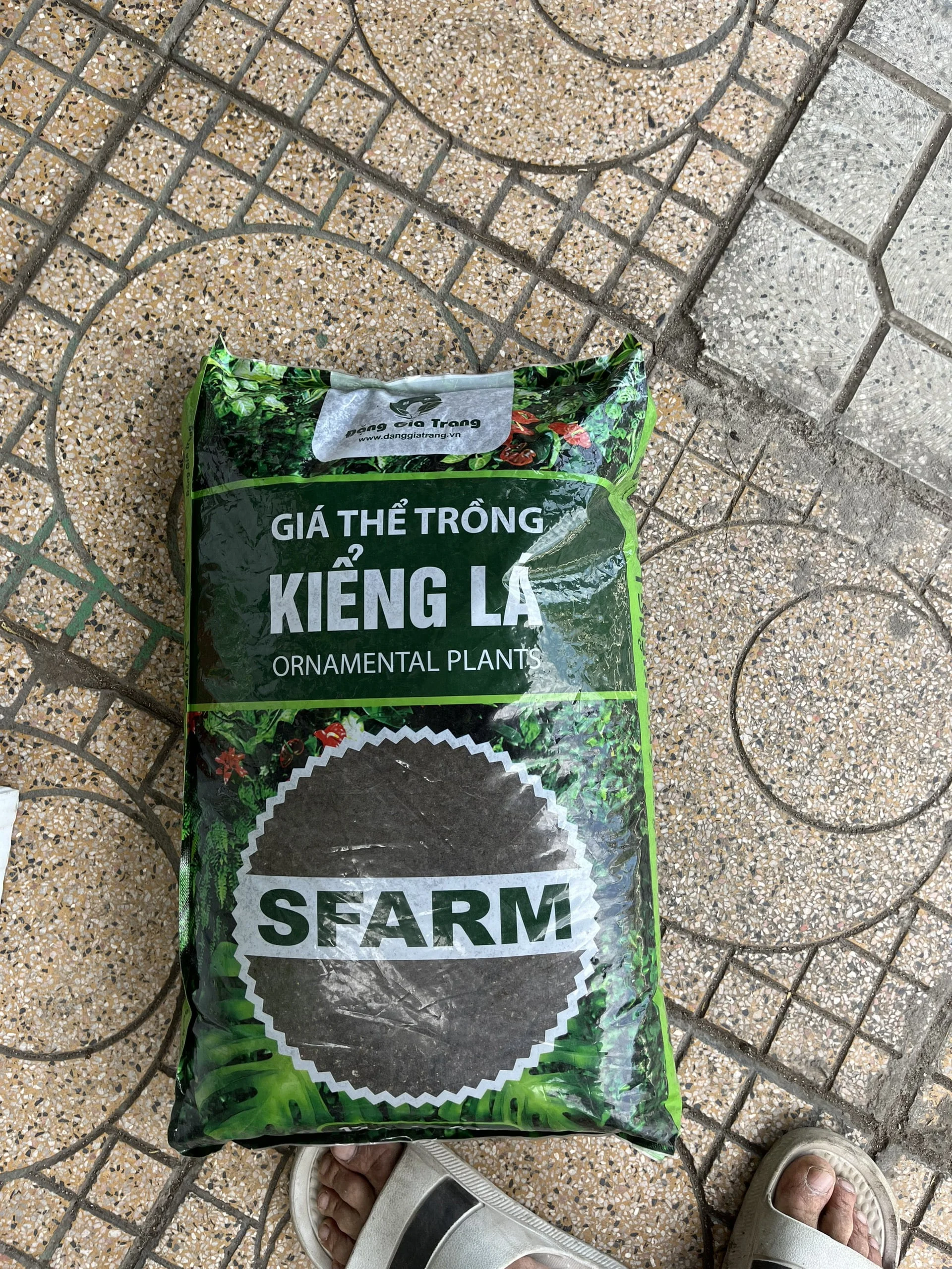 Giá thể trồng kiểng lá SFARM, bao lớn 6kg (~17 lít) | z3235243121539 3048485e15adaa86cd048524311f5c4c