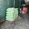 Đất sạch VƯỜN ƯƠM ECO N1 | 2022 06 20 12.15.03