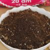 Giá thể hoa hồng Sfarm bao 20dm3 - 7KG | MG 5084 scaled 1