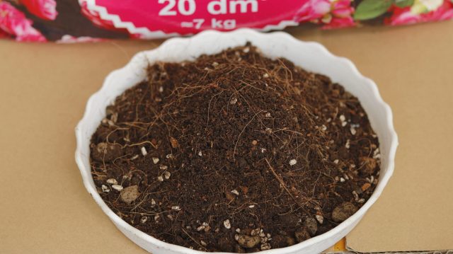 Giá thể hoa hồng Sfarm bao 20dm3 - 7KG - Hình ảnh 3