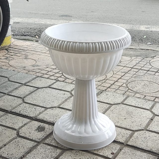 chậu ly nhựa trắng lùn chân đế trồng cây, thủy canh nhỏ
