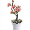 18262.jpg