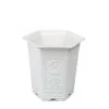 chậu phúc lộc thọ lục giác