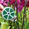 dây kẽm buộc nhựa buộc cây cảnh 50m