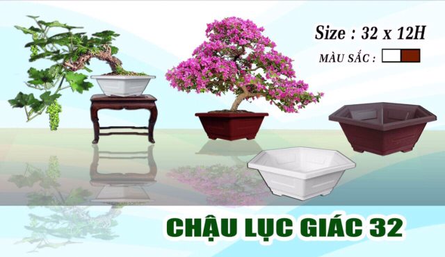 chậu lục giác 32