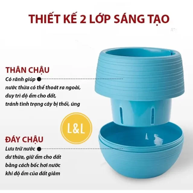 chậu trồng sen đá mini nhựa tròn nhỏ đẹp