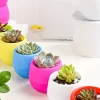 chậu trồng sen đá mini nhựa tròn nhỏ đẹp