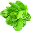 hạt giống rau mồng tơi hương nông 