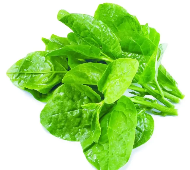 hạt giống rau mồng tơi hương nông