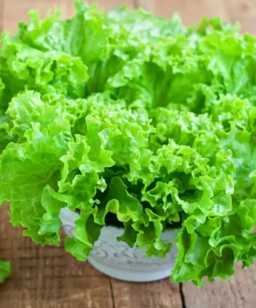 hạt giống xà lách cao sản 596 hương nông | lettuce yellow