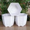 chậu lục giác bầu