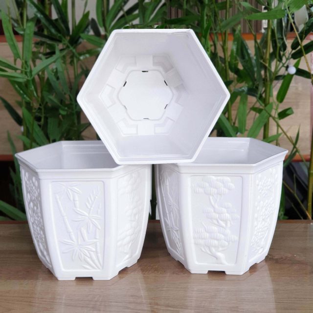 chậu lục giác bầu