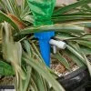 Que cắm tưới chai nhựa pet c09, đầu tưới nước nhỏ giọt | 6872