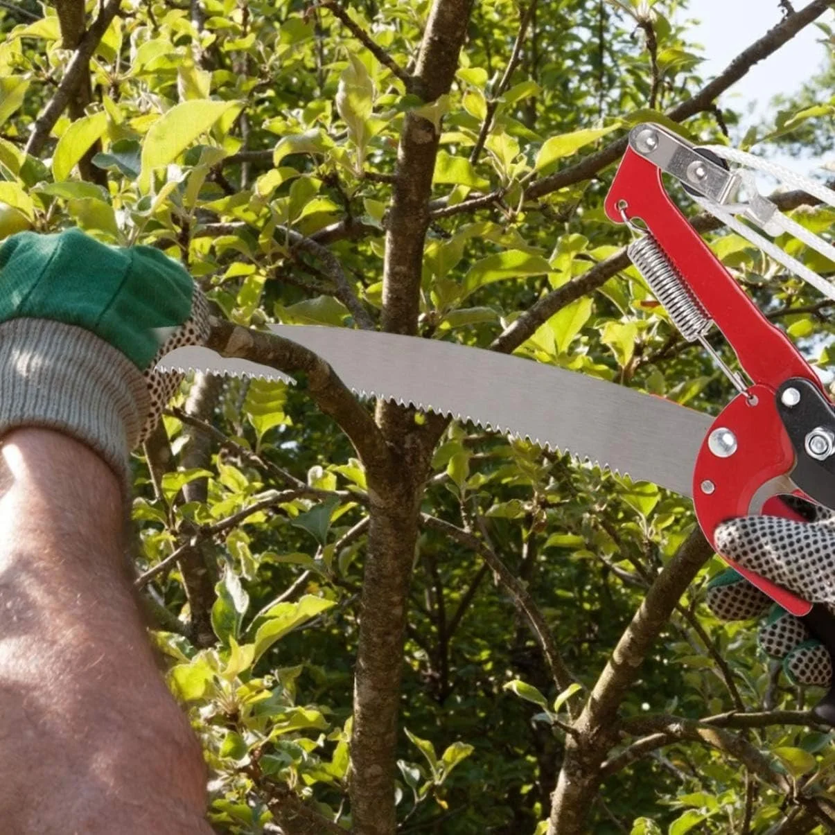 Đầu kéo cắt, tỉa cành trên cao kết hợp cưa | 6903