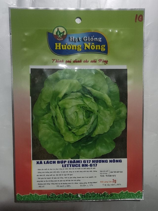 XÀ LÁCH BÚP (DĂM) 617 HƯƠNG NÔNG LETTUCE HN-617 - Hình ảnh 2