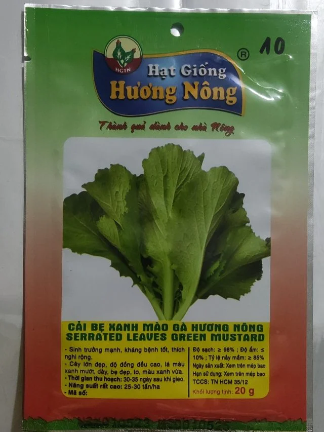 CẢI BẸ XANH MÀO GÀ HƯƠNG NÔNG SERRATED LEAVES GREEN MUSTARD - Hình ảnh 2