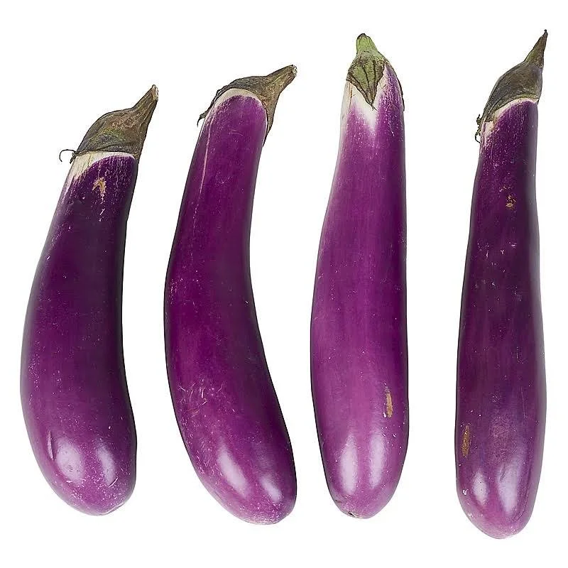 CÀ TÍM HƯƠNG NÔNG EGGPLANT F1 DOK