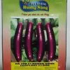 CÀ TÍM HƯƠNG NÔNG EGGPLANT F1 DOK | 7296 scaled