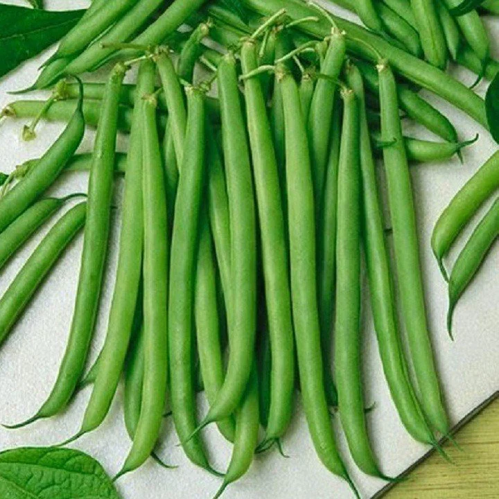 ĐẬU COVE HẠT TRẮNG DẠNG LEO HƯƠNG NÔNG BEAN CORA WHITE SEEDS
