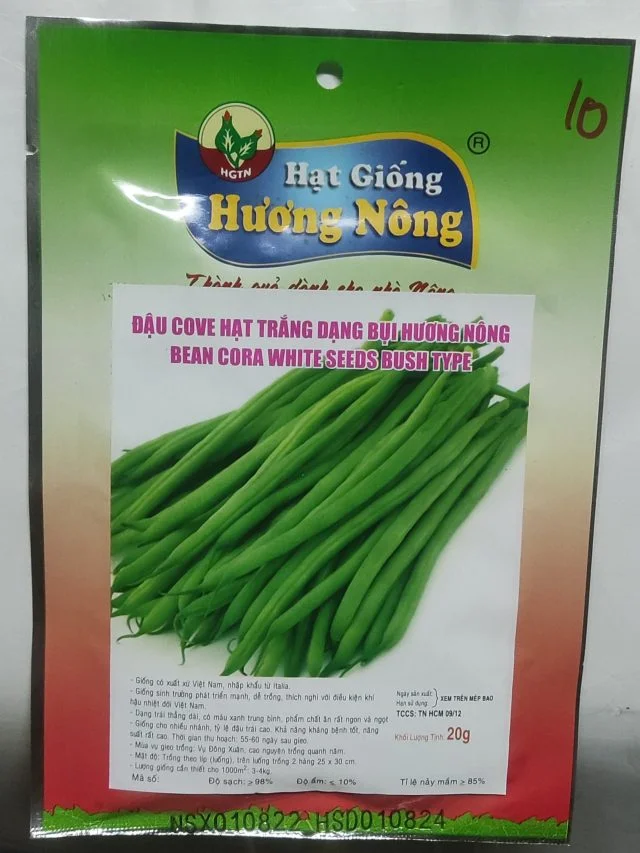ĐẬU COVE HẠT TRẮNG DẠNG BỤI HƯƠNG NÔNG BEAN CORA WHITE SEEDS BUSH TYPE - Hình ảnh 3