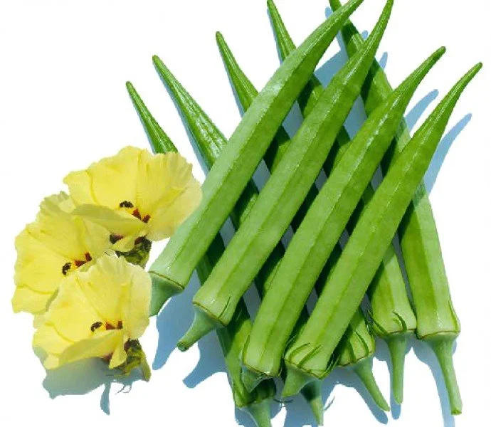 ĐẬU BẮP LAI ẤN ĐỘ HƯƠNG NÔNG