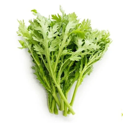 TẦN Ô HƯƠNG NÔNG NO 1CHRYSANTREMUM GARLAND NO 1