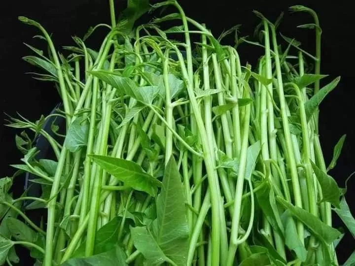 RAU MUỐNG SIÊU ĐỌT HƯƠNG NÔNG