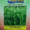 RAU MUỐNG CAO SẢN LÁ TRE HƯƠNG NÔNG WATER CONVOLVULUS | 7405 scaled