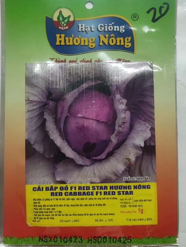 CẢI BẮP ĐỎ FIRED STAR HƯỞNG NÔNGRED CABBAGE F1 RED STAR - Hình ảnh 2