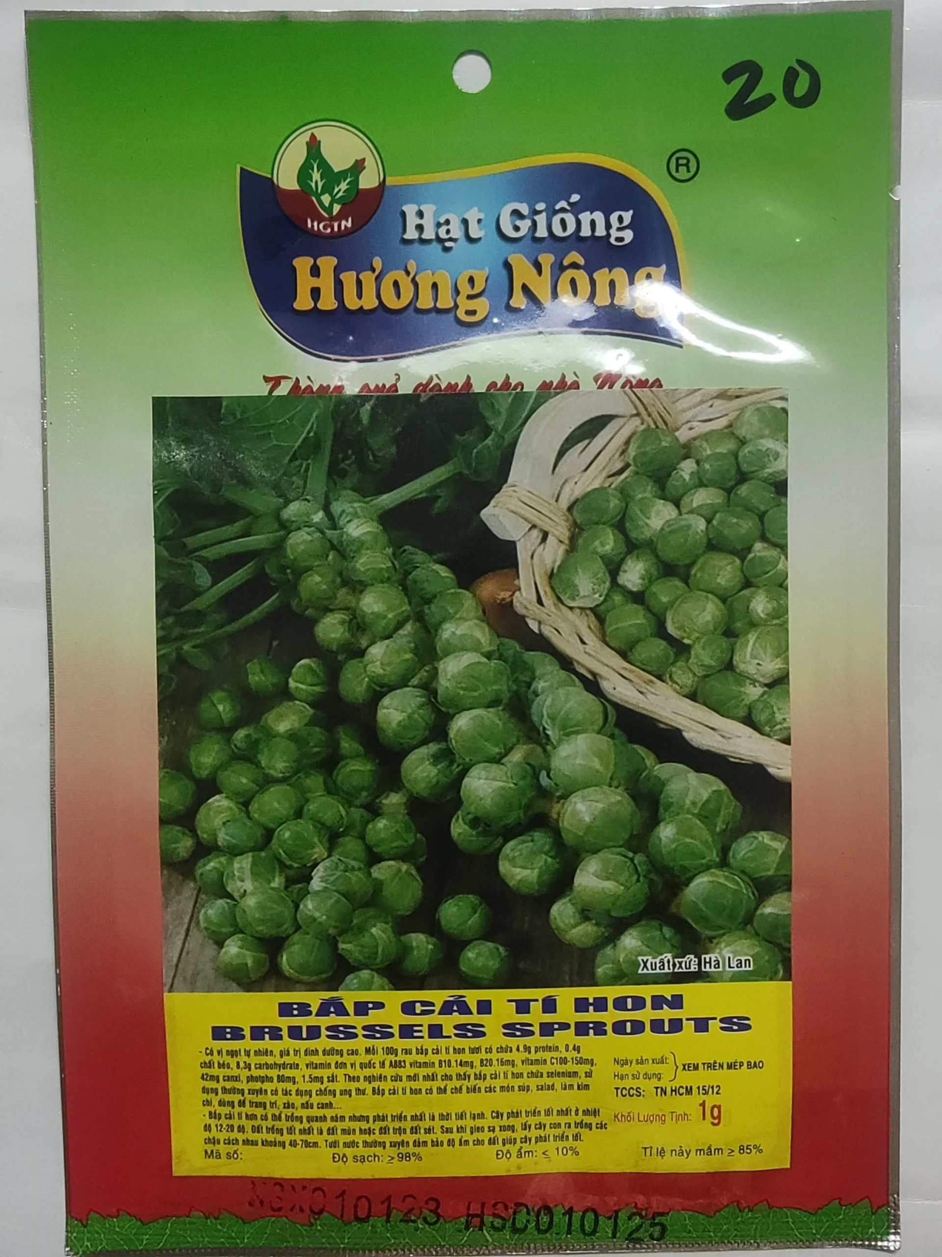 BẮP CẢI TÍ HON BRUSSELS SPROUTS | 7426 scaled