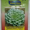 CẢI HOA HỒNG F1 HƯƠNG NÔNG CABBAGE CHINESE TATSOI F1 | 7428 scaled