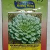 CẢI HOA HỒNG F1 HƯƠNG NÔNG CABBAGE CHINESE TATSOI F1 | 7428 scaled