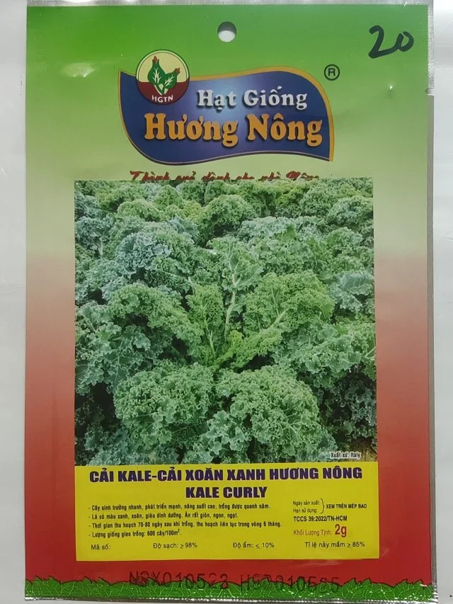 CẢI KALE-CẢI XOĂN XANH HƯƠNG NÔNGKALE CURLY - Hình ảnh 2