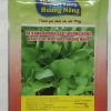 CẢI BẸ XANH ĂN NON BABY HƯƠNG NÔNG BABY LEAF MUSTARD HƯƠNG NÔNG | 7440 scaled